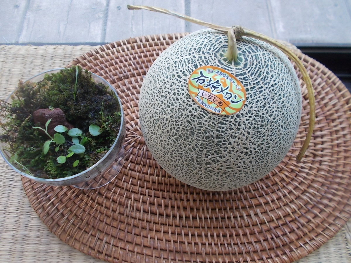 f:id:yukkofuta1125:20190802164717j:plain