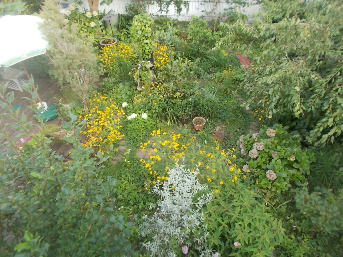 f:id:yukkofuta1125:20190806122309j:plain