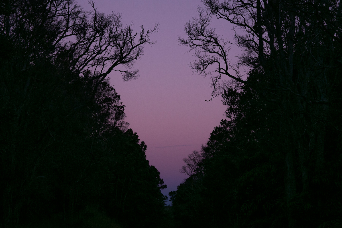 f:id:yukkopen1108:20190408174320j:plain