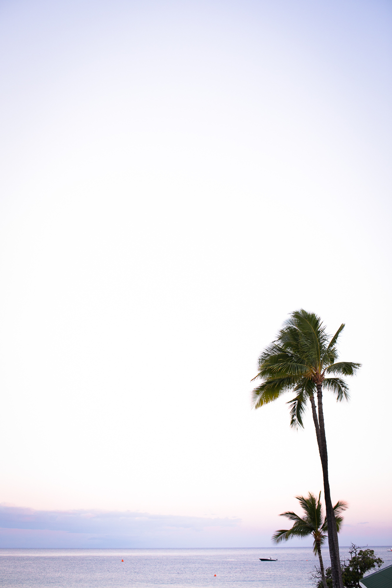 f:id:yukkopen1108:20190603164213j:plain f:id:yukkopen1108:20190603164213j:plain