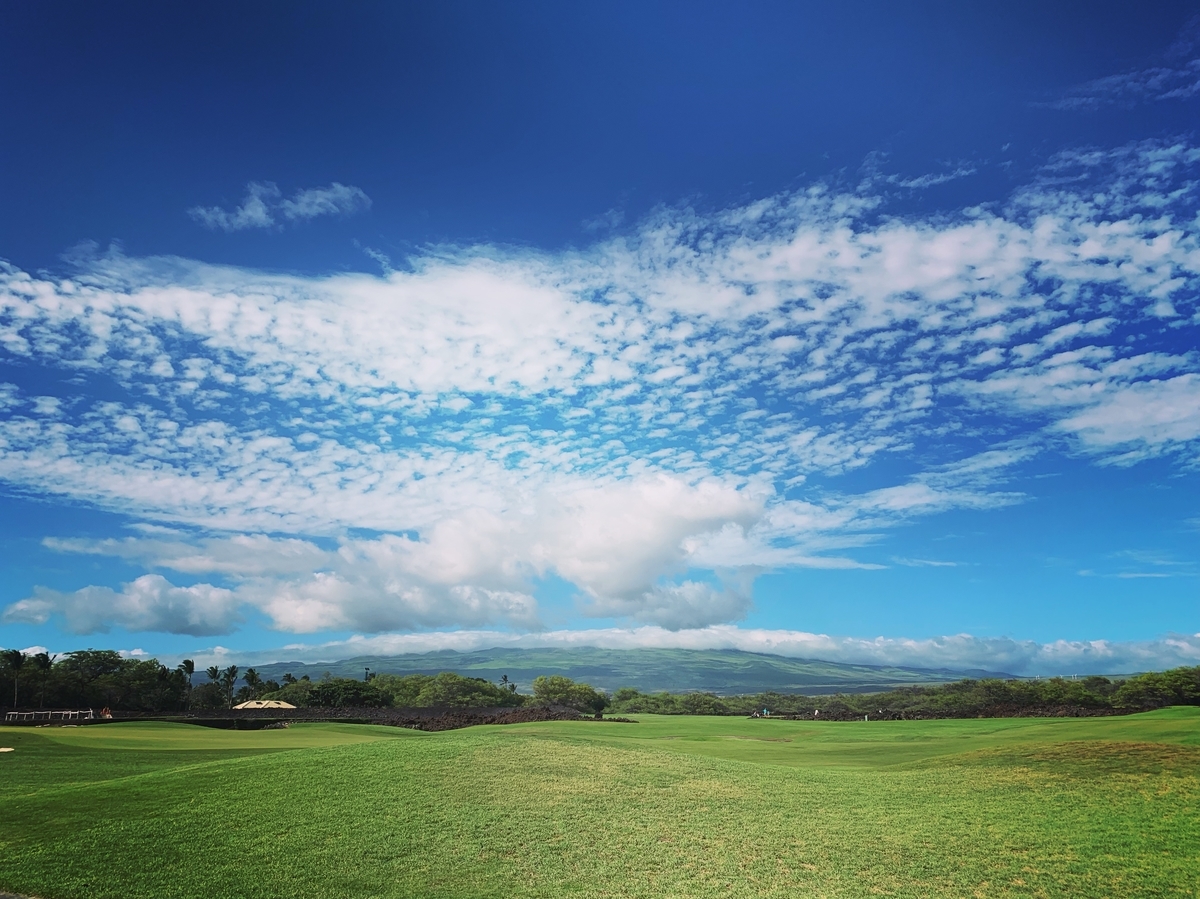 f:id:yukkopen1108:20190603174007j:plain f:id:yukkopen1108:20190603174007j:plain