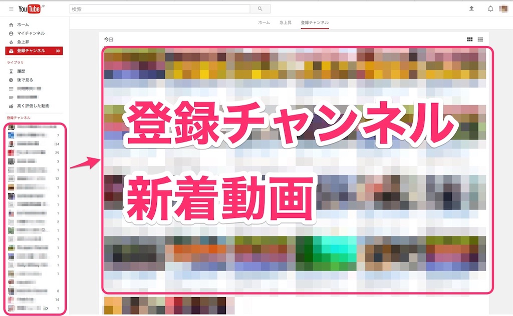 f:id:yukkuri6363:20190122232247j:image f:id:yukkuri6363:20190122232247j:image