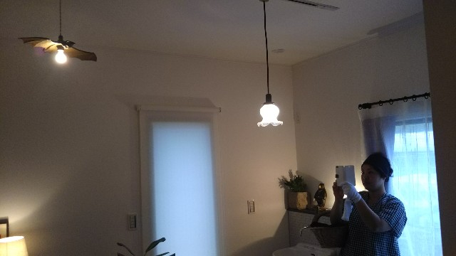f:id:yukkurimushi:20180624091702j:image f:id:yukkurimushi:20180624091702j:image