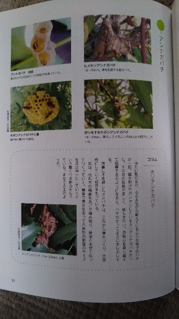 f:id:yukkurimushi:20180703090836j:image f:id:yukkurimushi:20180703090836j:image