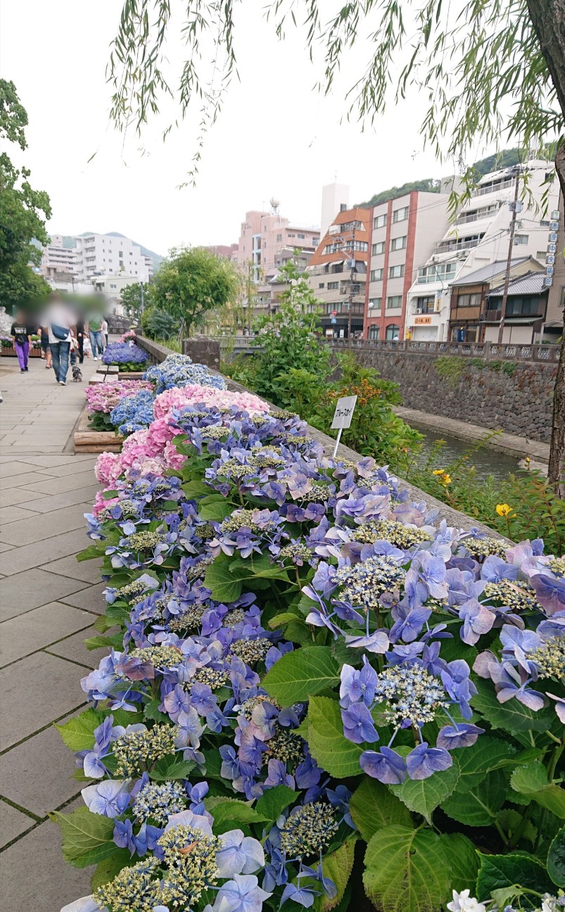 f:id:yukkuru:20190714210436j:image