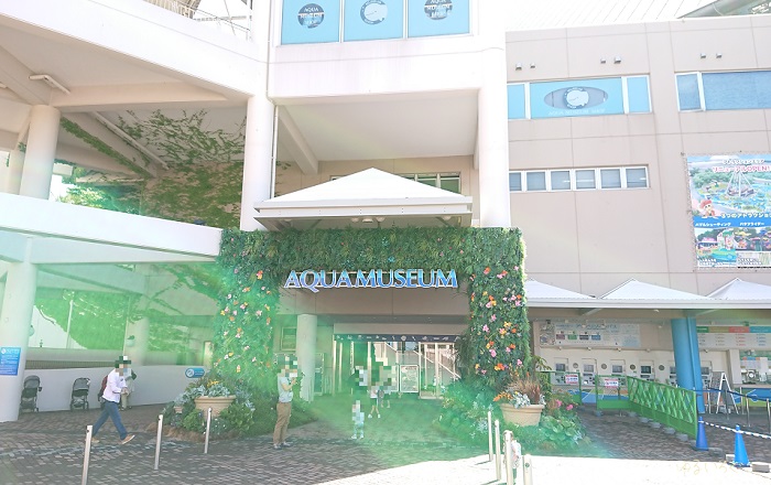 八景島シーパラダイス 島内最大規模で迫力満点の水族館 アクアミュージアム ゆるいろぐ