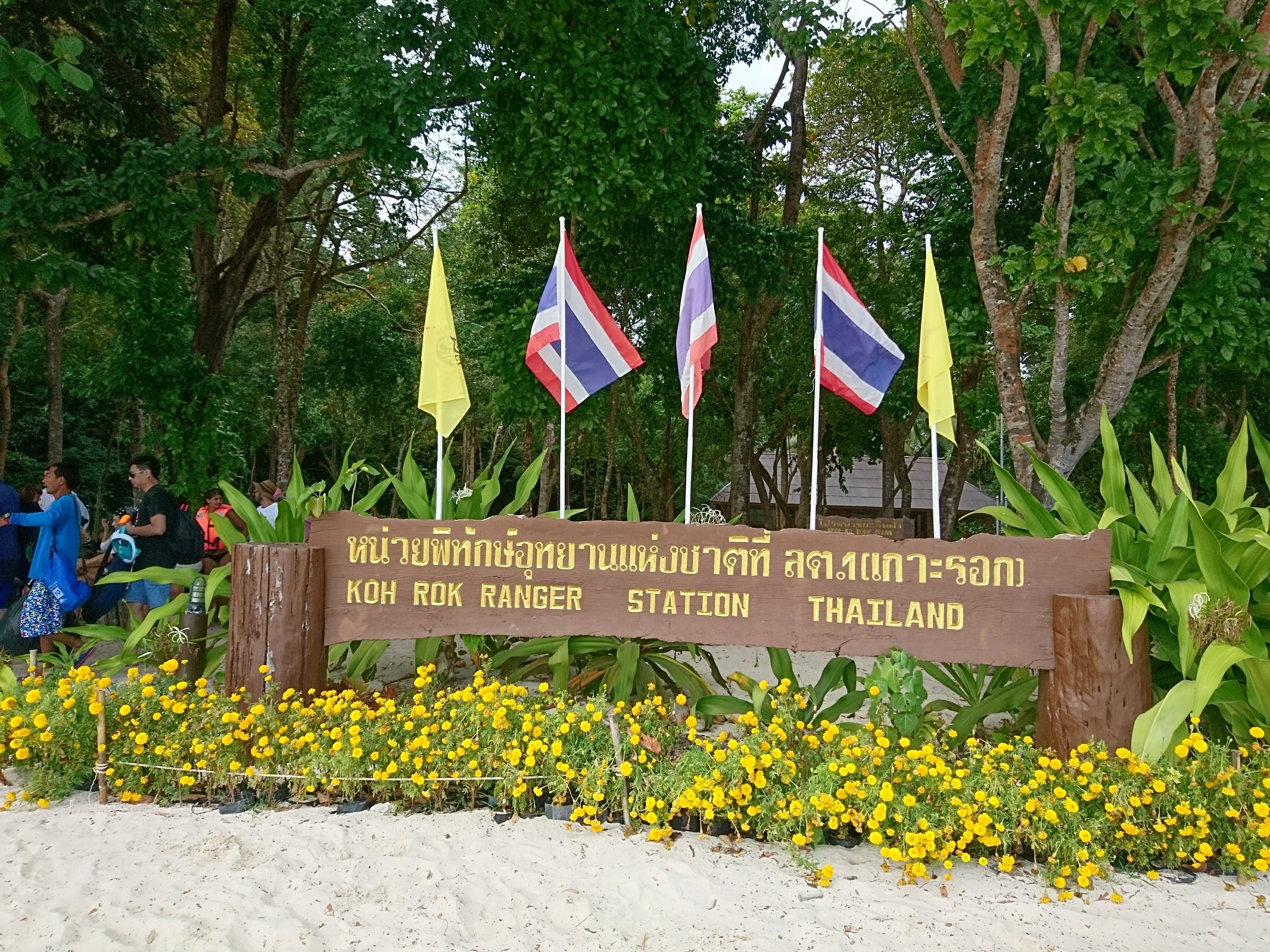 f:id:yukky_bkkus:20201103001603j:image f:id:yukky_bkkus:20201103001603j:image