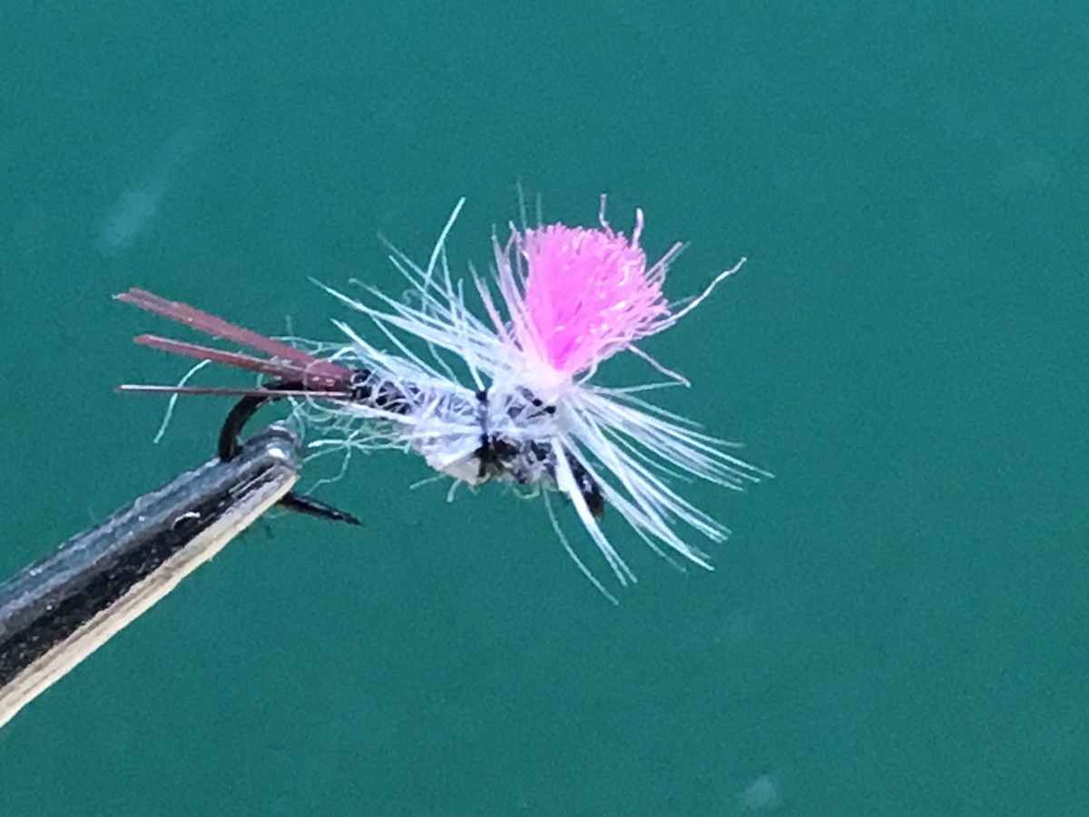 手軽に】 - Oikawa Fly Fishing