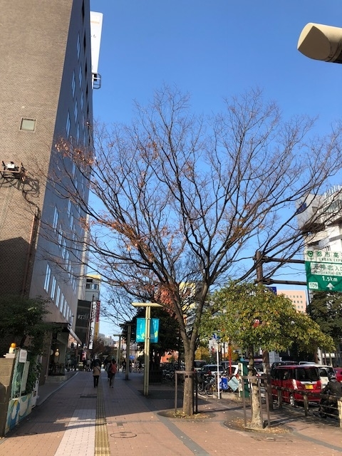 f:id:yuko-imaizumi:20191212111240j:plain