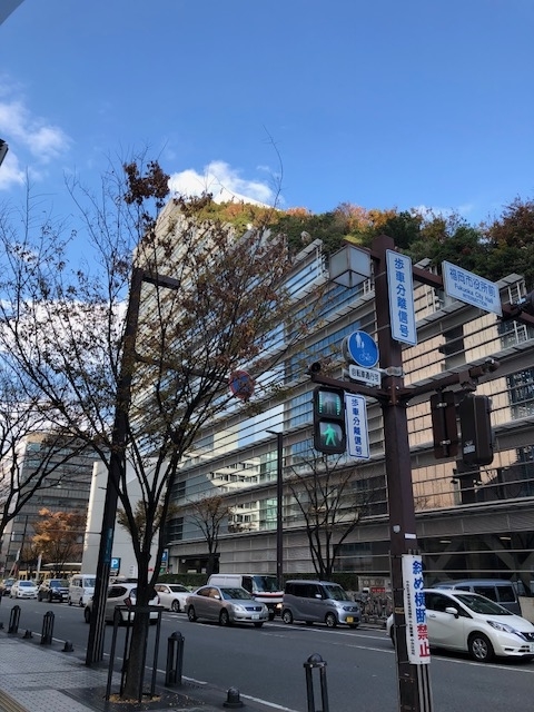 f:id:yuko-imaizumi:20191212111351j:plain