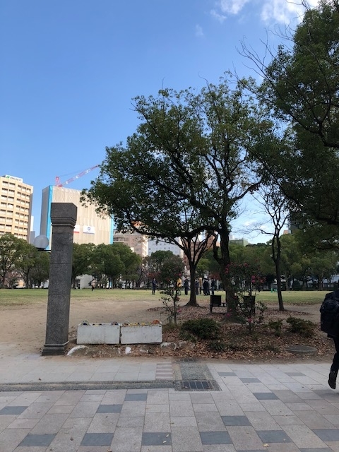 f:id:yuko-imaizumi:20191212111413j:plain