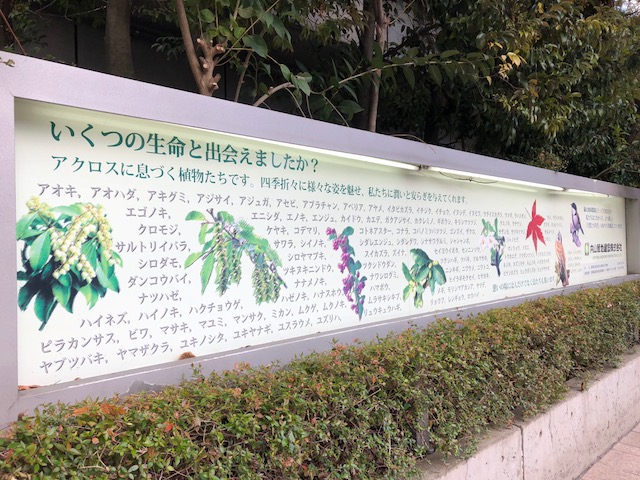 f:id:yuko-imaizumi:20191212111647j:plain