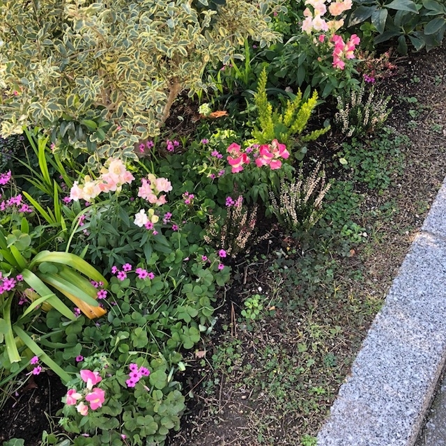 f:id:yuko-imaizumi:20191212145206j:plain