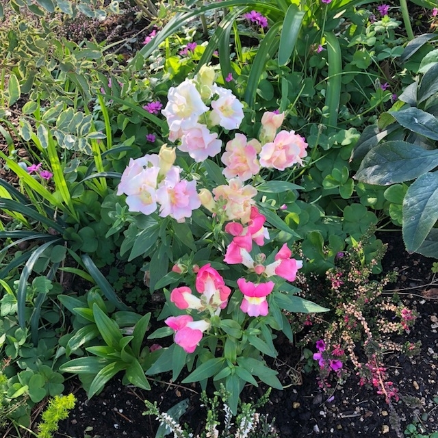 f:id:yuko-imaizumi:20191212145233j:plain