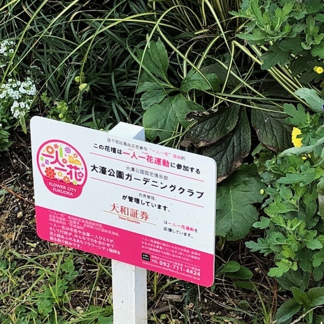 f:id:yuko-imaizumi:20191212145250j:plain