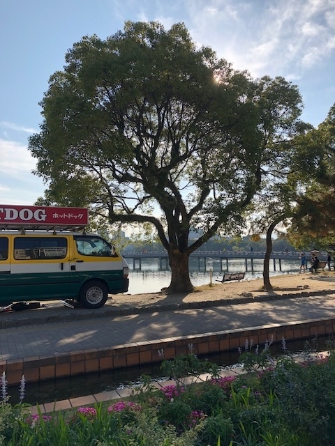 f:id:yuko-imaizumi:20191212145326j:plain