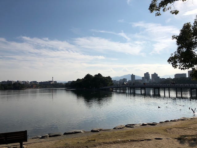 f:id:yuko-imaizumi:20191212145405j:plain