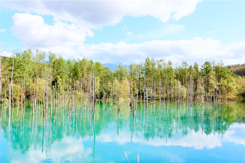 f:id:yuko-k-ami:20181102014529j:image f:id:yuko-k-ami:20181102014529j:image