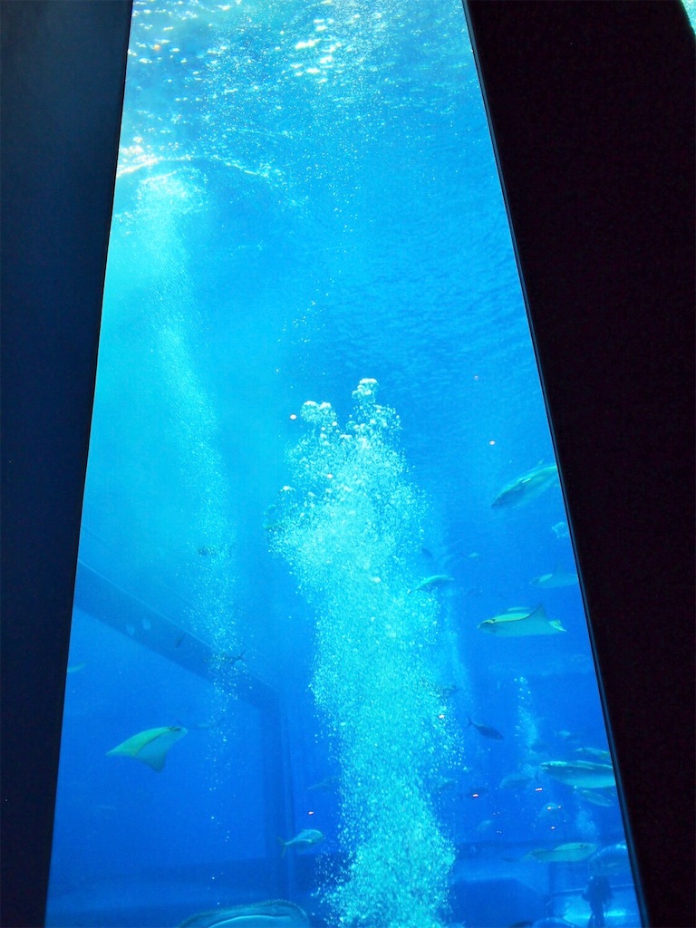 f:id:yuko-k-ami:20190211091440j:image