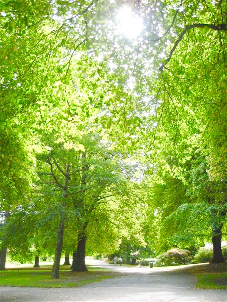 f:id:yuko-k-ami:20190218061352j:image f:id:yuko-k-ami:20190218061352j:image