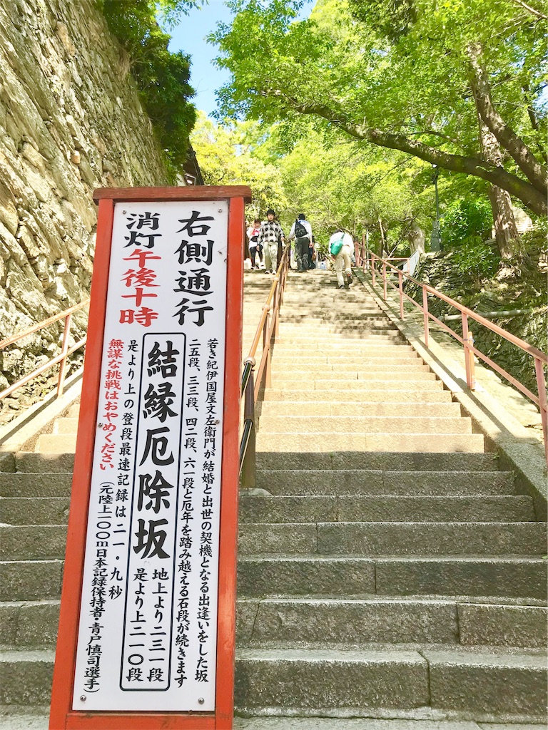 f:id:yuko-k-ami:20190502230802j:image f:id:yuko-k-ami:20190502230802j:image