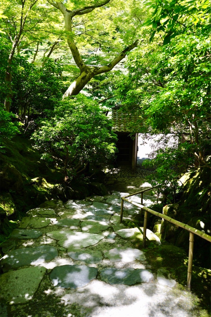f:id:yuko-k-ami:20190614235425j:image