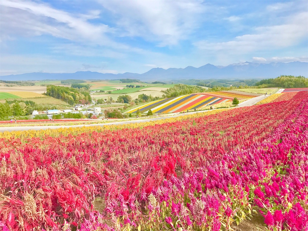 f:id:yuko-k-ami:20190828234137j:image f:id:yuko-k-ami:20190828234137j:image