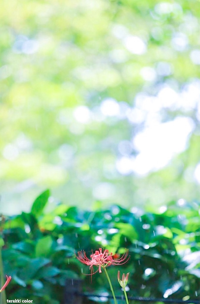 f:id:yuko-k-ami:20190914235706j:image