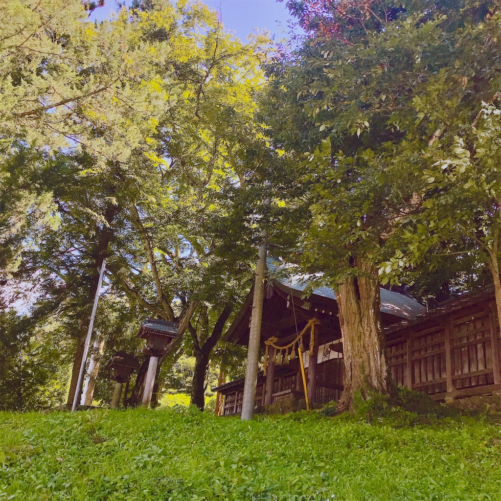 f:id:yuko-k-ami:20190919233331j:image