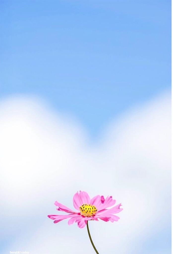 f:id:yuko-k-ami:20191009000722j:image