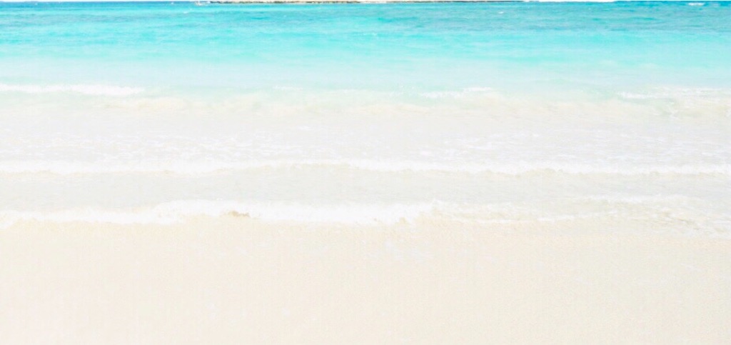 f:id:yuko-k-ami:20191213204446j:image