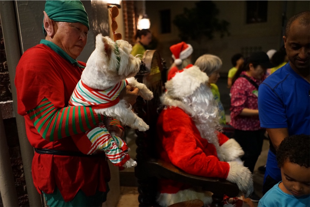 f:id:yuko-k-ami:20191219103807j:image