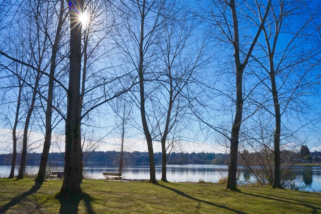 f:id:yuko-k-ami:20191230233350j:image