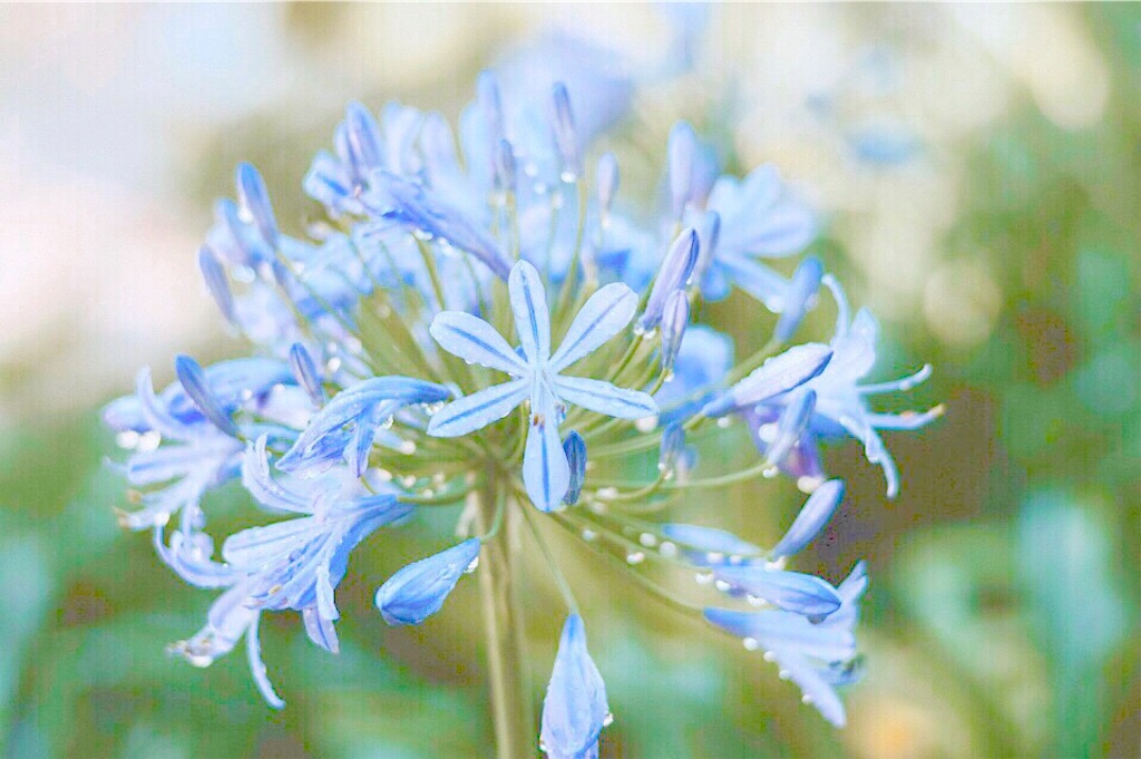 f:id:yuko-k-ami:20200223235305j:image