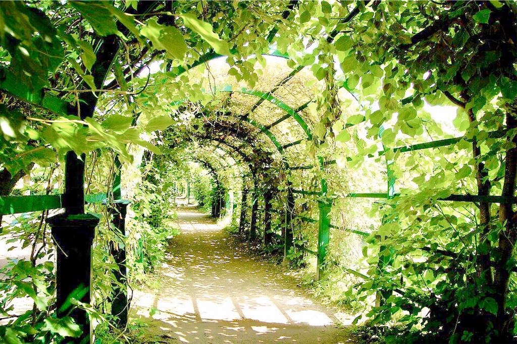 f:id:yuko-k-ami:20200520225450j:image