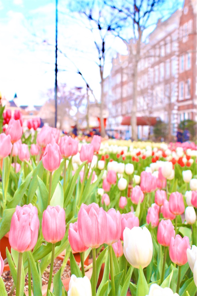 f:id:yuko-k-ami:20200522231621j:image