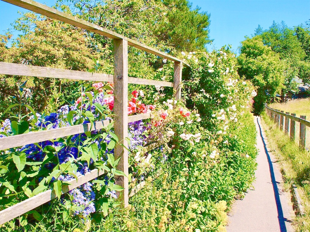 f:id:yuko-k-ami:20200606235640j:image f:id:yuko-k-ami:20200606235640j:image