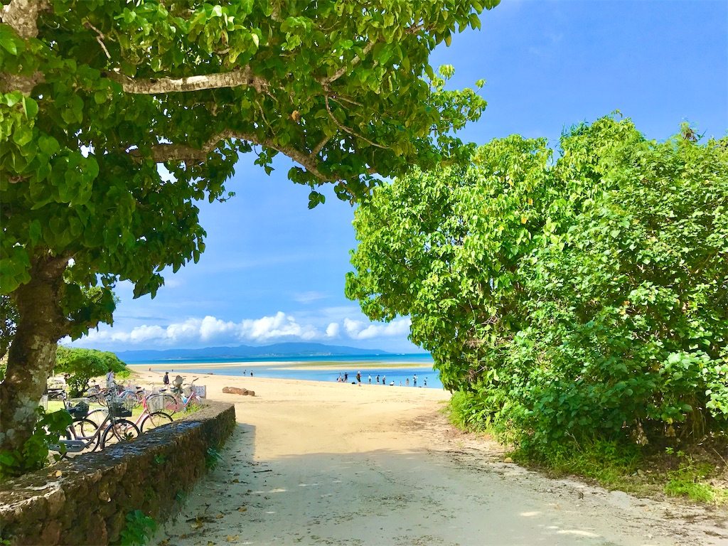 f:id:yuko-k-ami:20200607232431j:image f:id:yuko-k-ami:20200607232431j:image