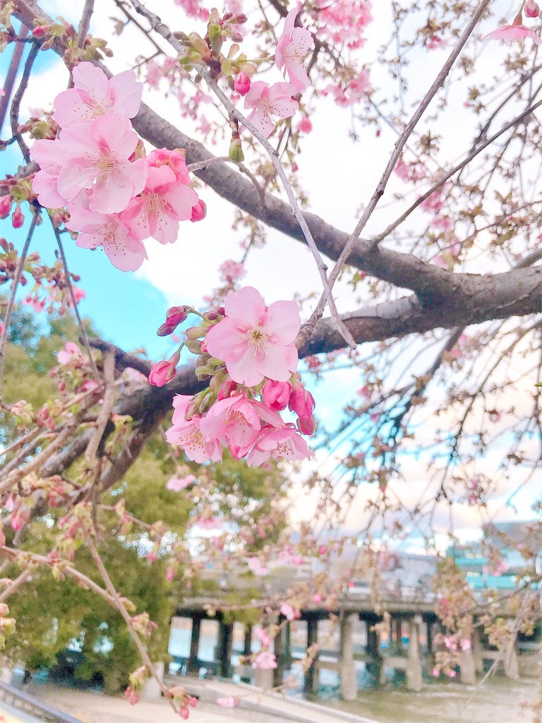 f:id:yuko-k-ami:20210216224644j:image