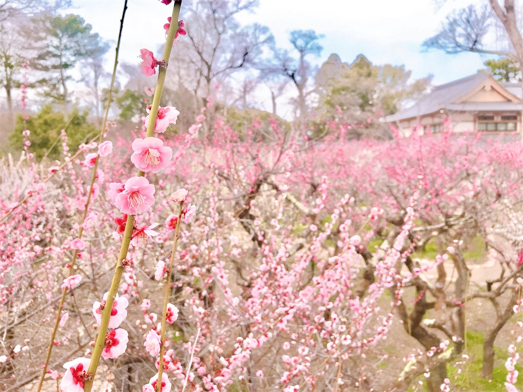 f:id:yuko-k-ami:20210309221935j:image