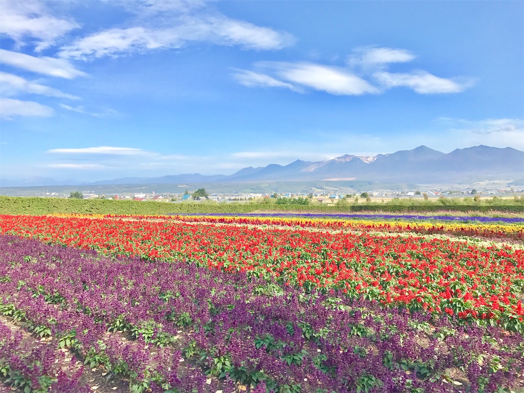見返りを求める心から自由になるには - 前向き気づき日記