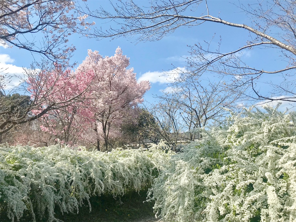 f:id:yuko-k-ami:20210325000317j:image f:id:yuko-k-ami:20210325000317j:image