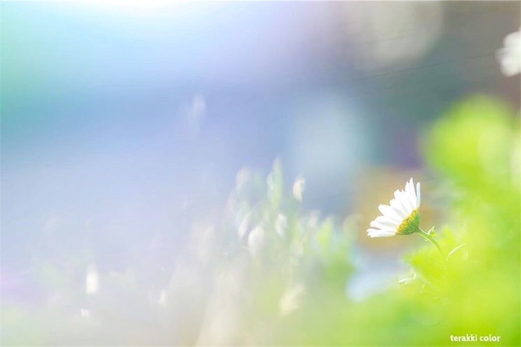 f:id:yuko-k-ami:20210505191318j:plain