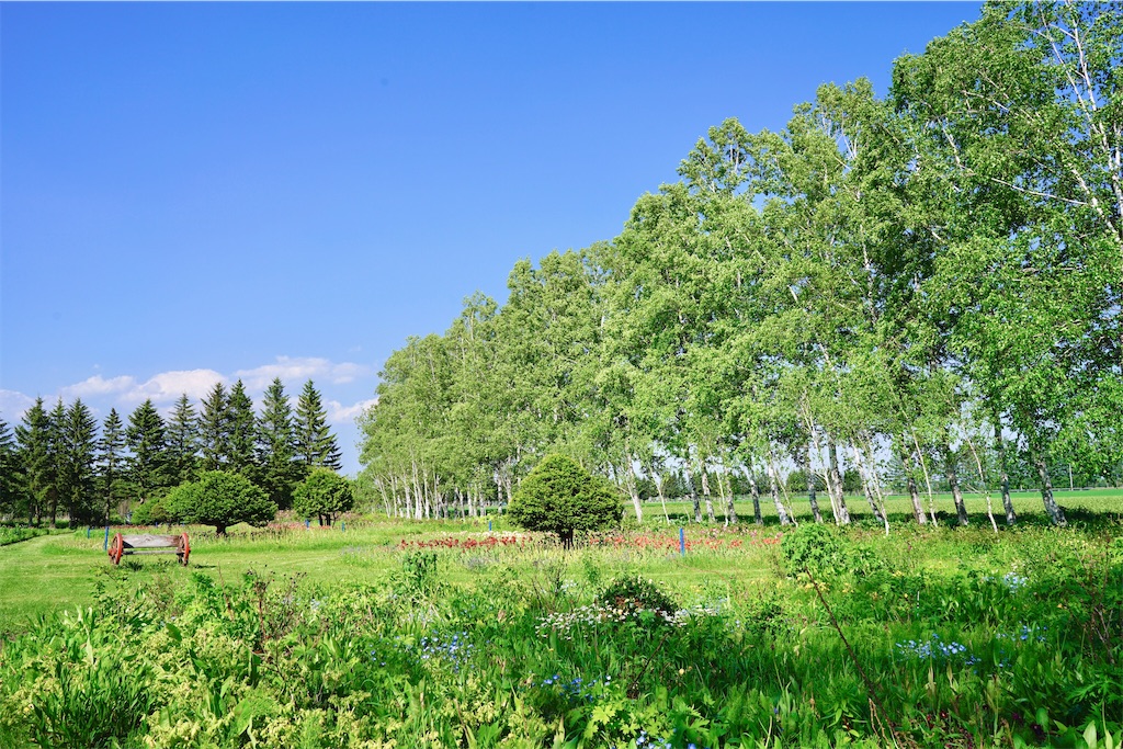 住みたい場所　北海道