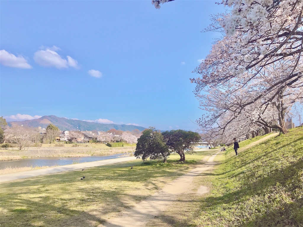 京都暮らし　人生で一度