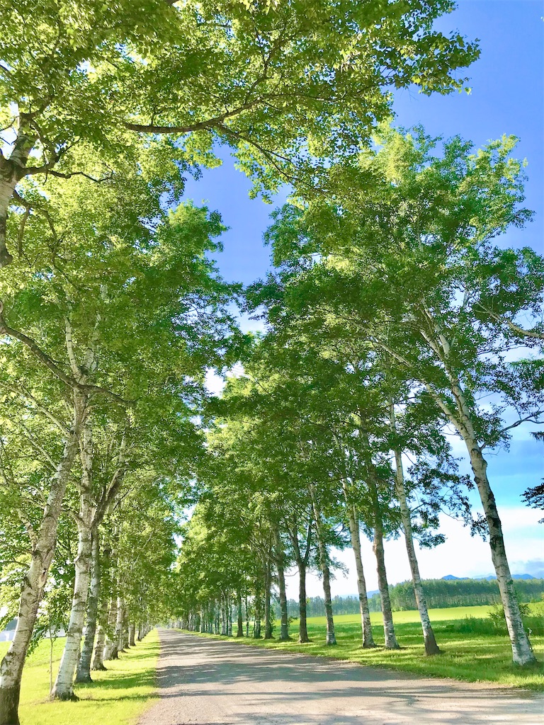 住みたい街で暮らす　シンプルライフ