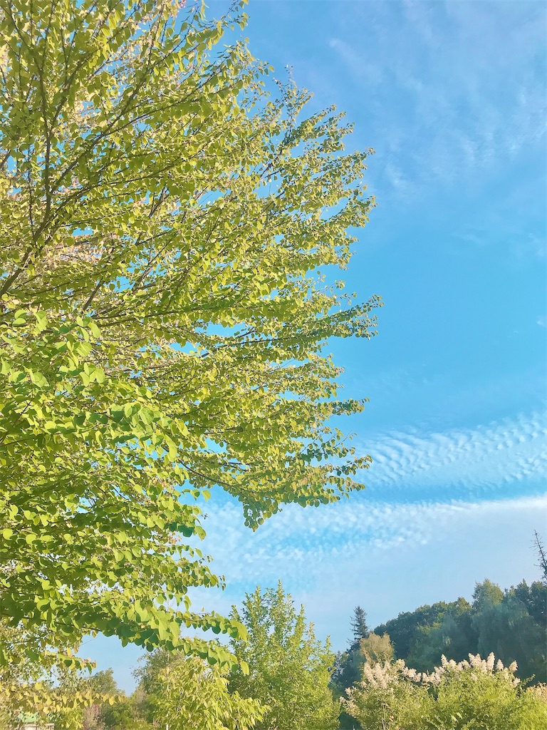 住みたい街で暮らす　シンプルライフ　やりたいこと　自由に生きる