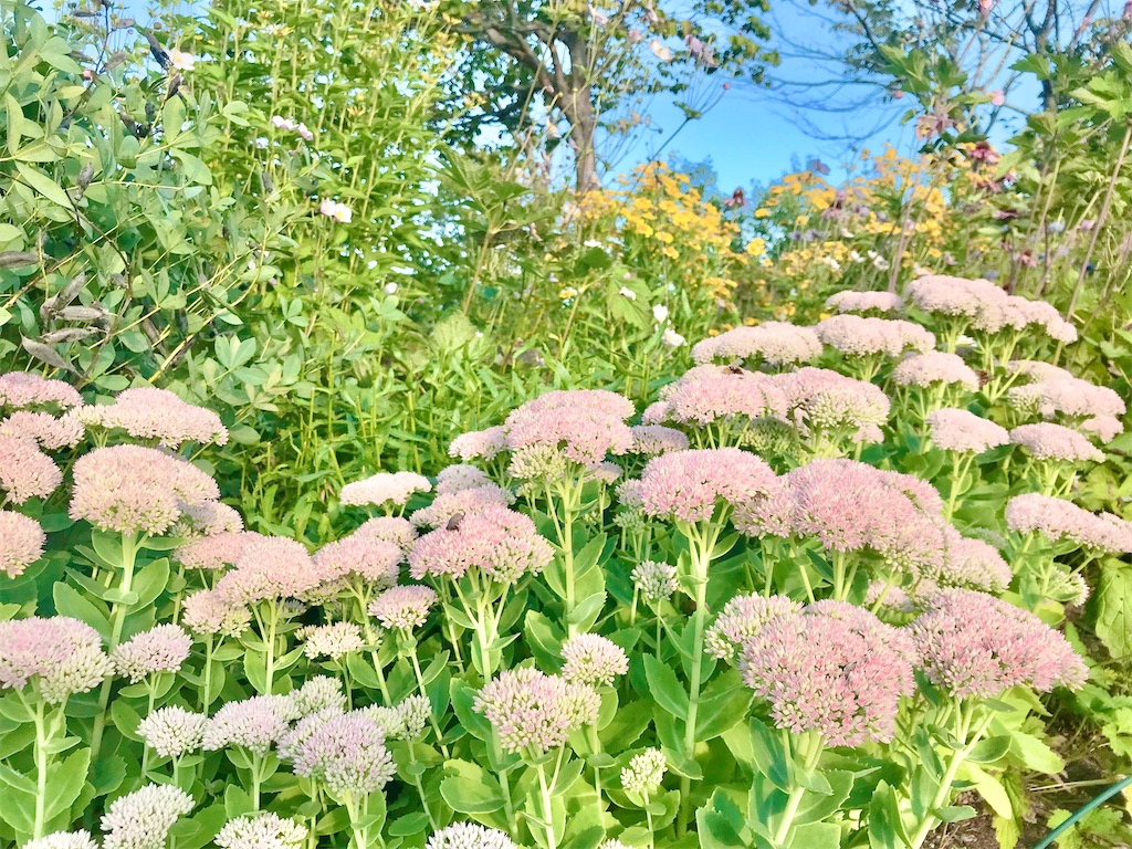瞑想　波動　潜在意識　上げる　効果
