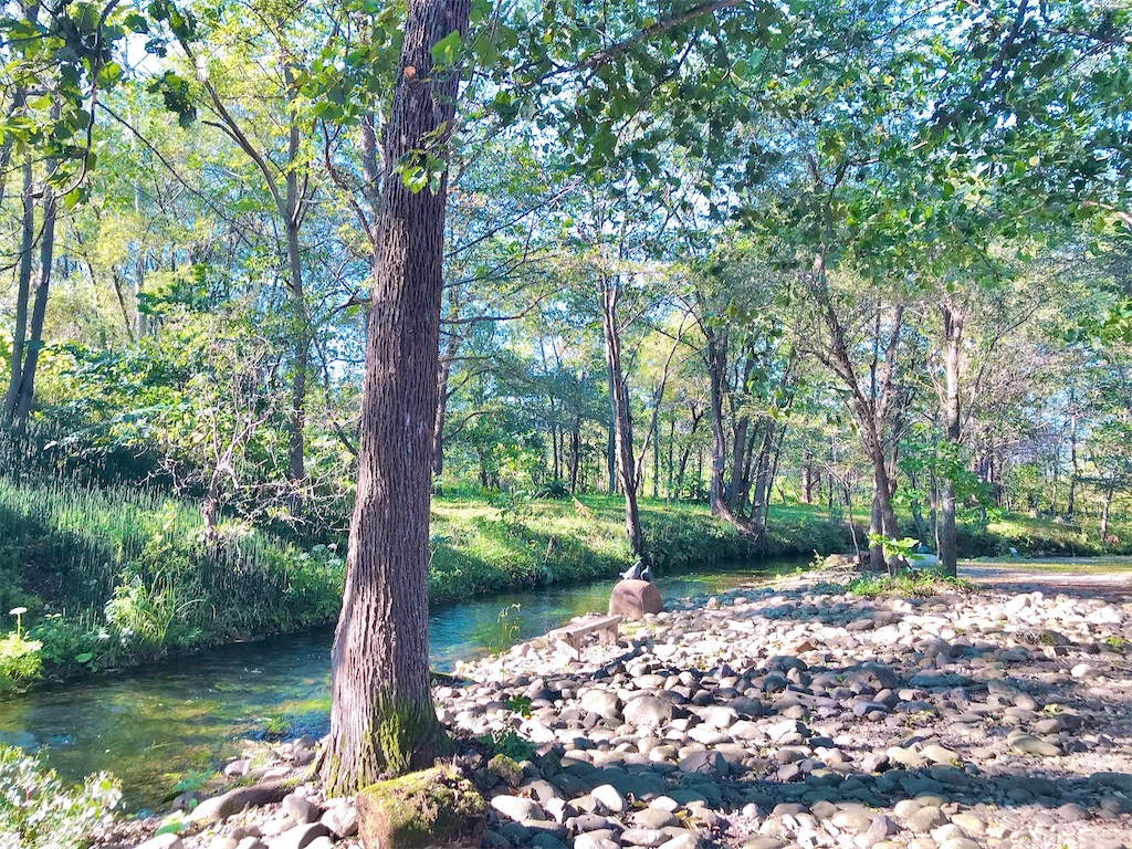 住みたい街で暮らす　シンプルライフ　やりたいこと　自由に生きる