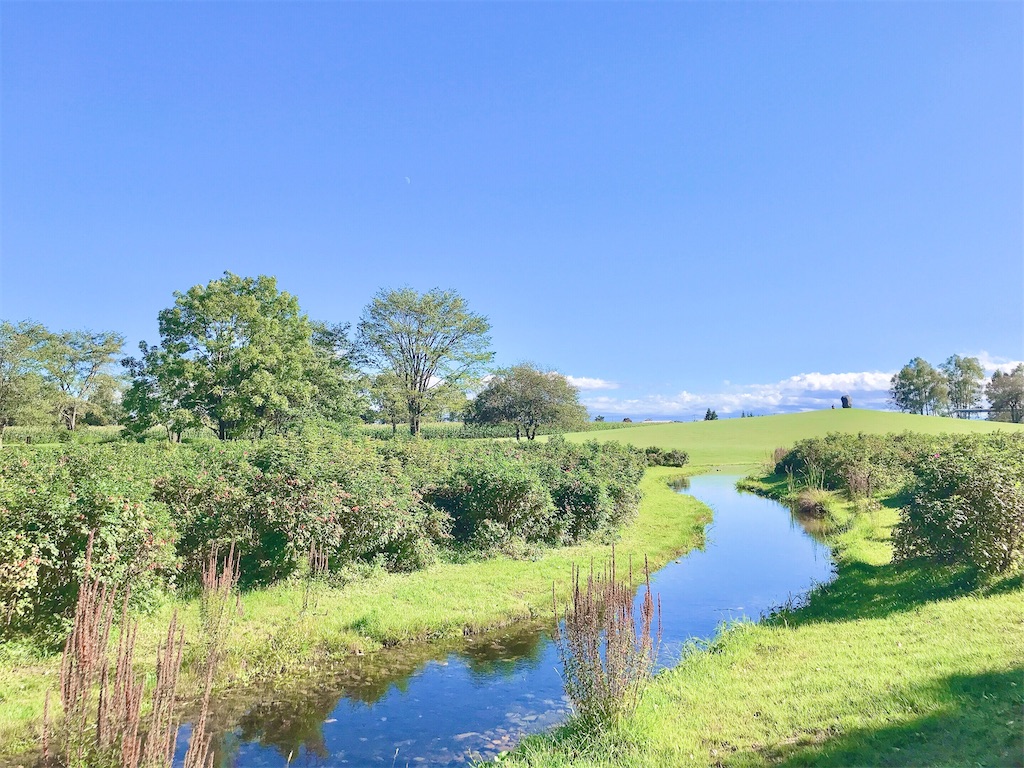 瞑想　潜在意識　波動　上げる　効果